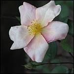 DSCN0050.JPG